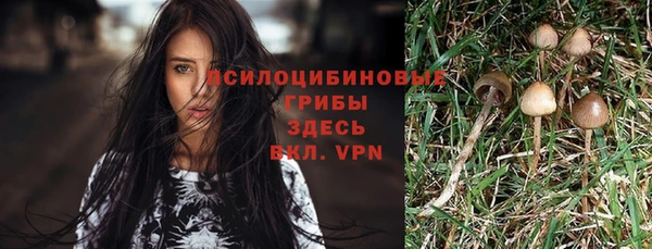 ECSTASY Армянск